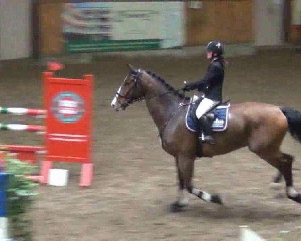 Hamburg-Friedrichshulde 2013
Samstag, den 13.04.2013
11. Springprüfung Kl.L
