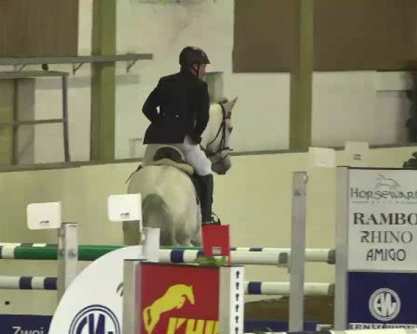 Ernst und Maria Wirth Gedächtnisturnier Zoltingen 2013, 05.04.2013, 11 Springprüfung Kl. L