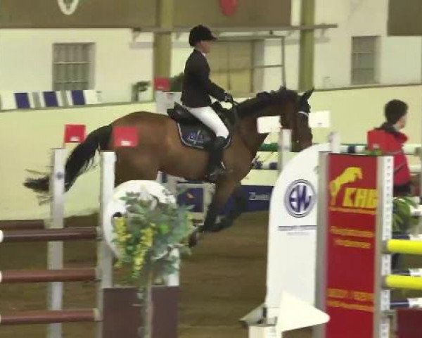 Ernst und Maria Wirth Gedächtnisturnier Zoltingen 2013, 05.04.2013, 11 Springprüfung Kl. L