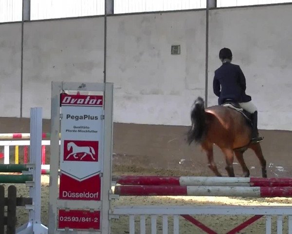 Video of La Luna Blue