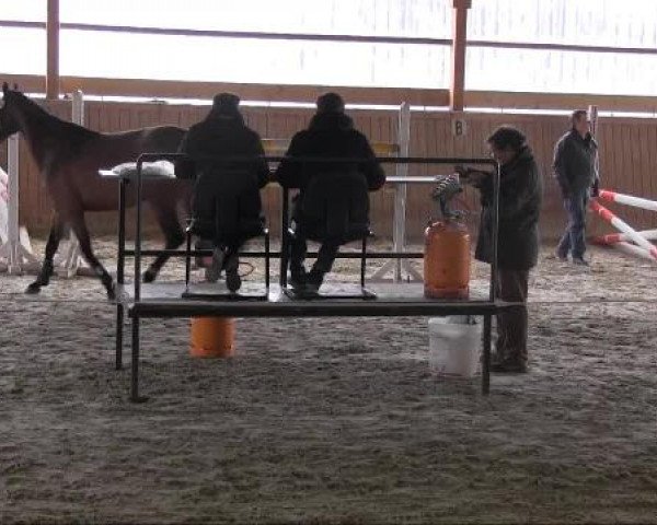 Freispringwettbewerb Bad Salzuflen 2013
Samstag, den 23.03.2013
Freispringwettbewerb Bad Salzuflen 2013
