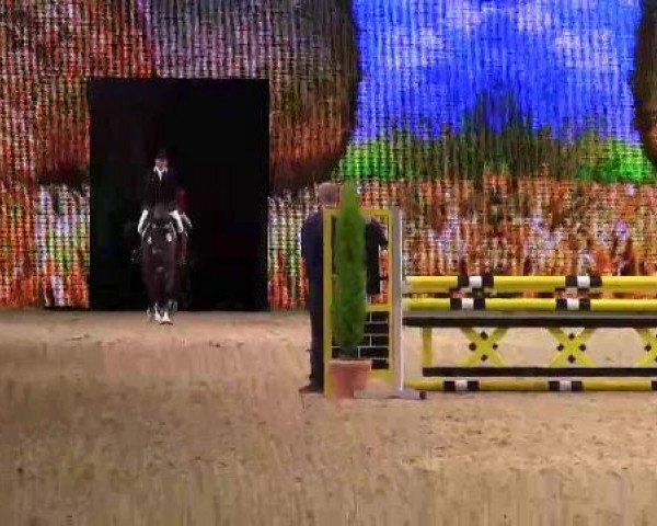 Hengstschau Equitana 2013
