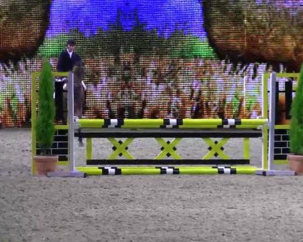 Hengstschau Equitana 2013