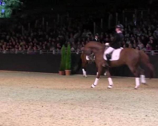 Hengstschau Equitana 2013