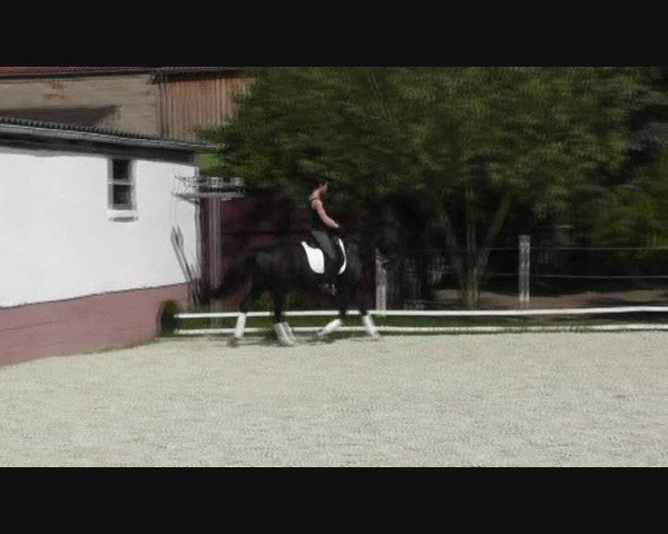 Video von Mirza