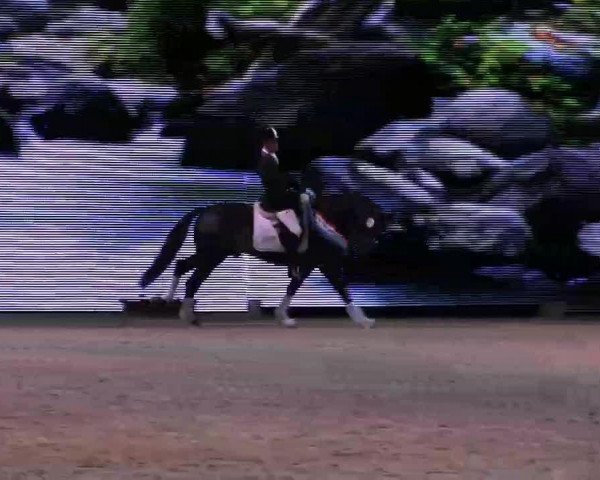 Video von Dujardin