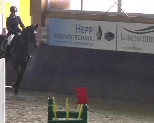 Late Entry Sauldorf-Boll 02.03.2013 
Springpferdeprüfung L
