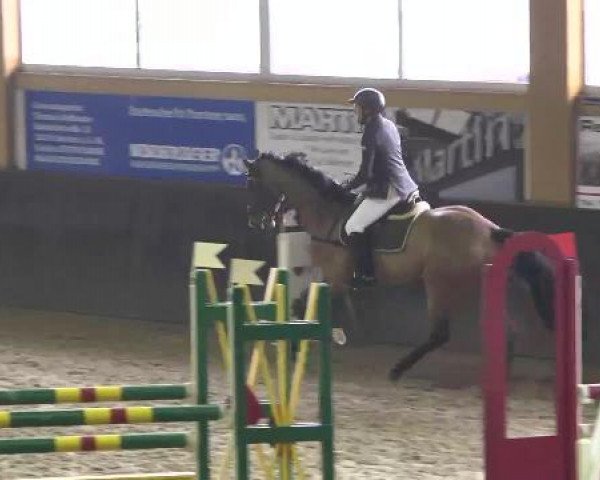 Late Entry Sauldorf-Boll 02.03.2013
Springpferdeprüfung L