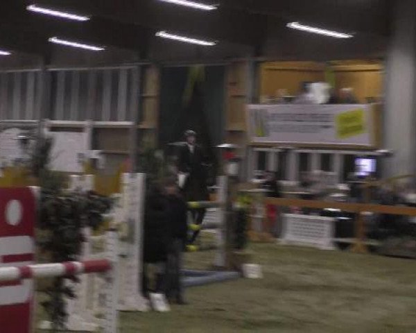 Warendorf-Freckenhorst 2013
Samstag, den 02.03.2013
07. Springprfg.Kl.M* m.St.
