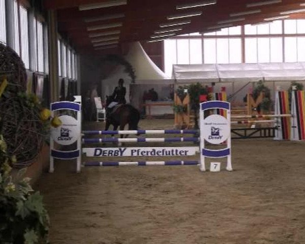 Warendorf-Freckenhorst 2013
Sonntag, den 03.03.2013
19.2. Stilspringprüfung Kl.A**
