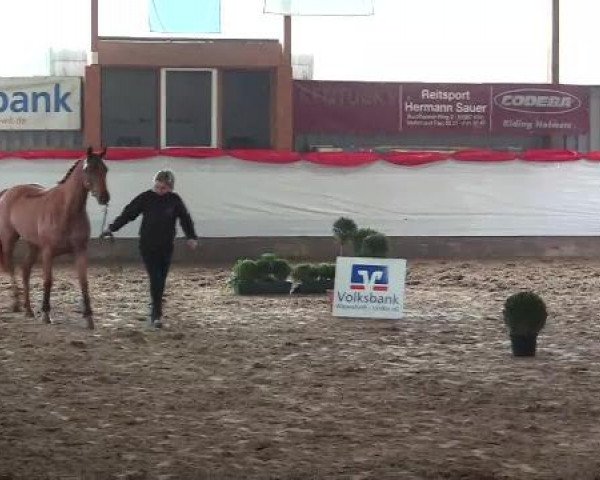 Freispringwettbewerb Lindlar-Süttenbach 03.03.2013