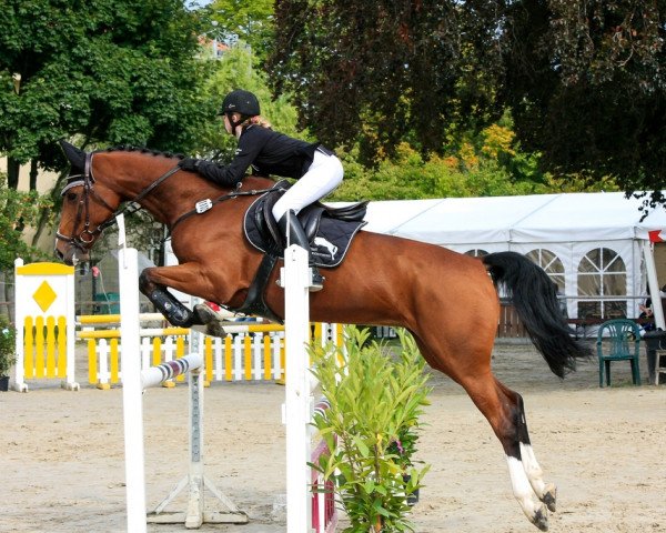 jumper Zolibria Weering (KWPN (Royal Dutch Sporthorse), 2004, from Garanco)