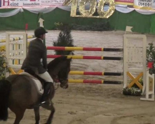 Hallenturnier Keppeln 2013, Sonntag 03.03.2013, 12/1 Springprüfung Kl. M*