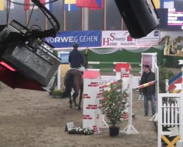 Hallenturnier Keppeln 2013, Samstag 02.03.2013, 10 Springprüfung Kl. S* mit Siegerrunde