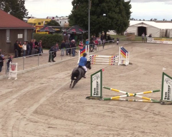 Springreitturnier Hohburg 2021