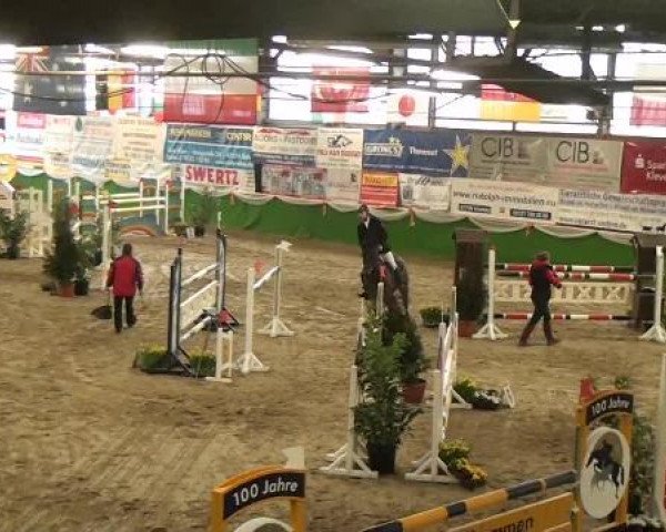 Hallenturnier Keppeln 2013, Freitag 01.03.2013, 04/1 Springprüfung Kl. M*