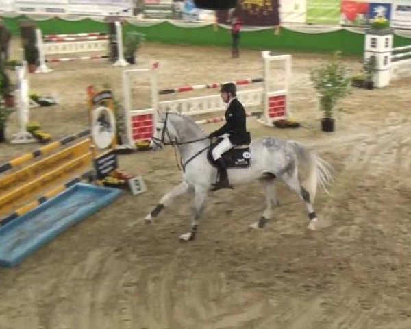 Hallenturnier Keppeln 2013, Freitag 01.03.2013, 04/1 Springprüfung Kl. M*