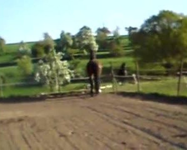 Video of Chamisso MG