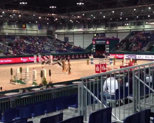 Partner Pferd Leipzig 2013