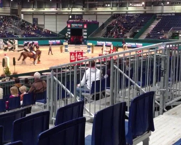 Video von SL Brazonado