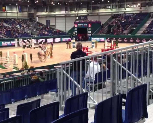 Partner Pferd Leipzig 2013