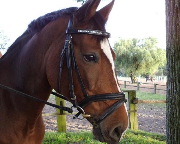 broodmare Catch Me (Rhinelander, 2000, from Champus) broodmare Catch Me (Rhinelander, 2000, from Champus)