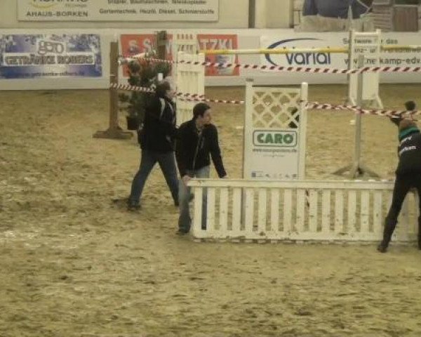 Video of Amore Mio