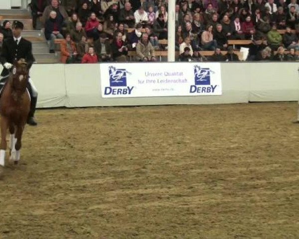 15. Trakehner Hengstschau 09.02.2013