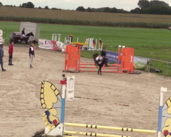Springreitturnier Hohburg 2021