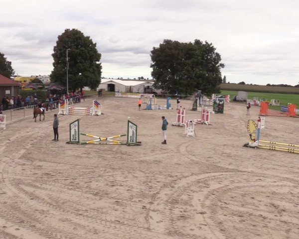 Springreitturnier Hohburg 2021