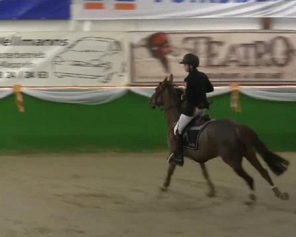 Keppeln 2013
Keppeln-Reitanlage Hötzenhof
Samstag, den 02.02.2013
23. Ponyspringprüfung Kl.M* mit 1 Stechen
