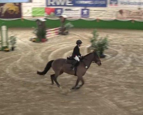 Keppeln 2013
Keppeln-Reitanlage Hötzenhof
Samstag, den 02.02.2013
11. Stilspring-WB - mit Erlaubter Zeit (EZ)
