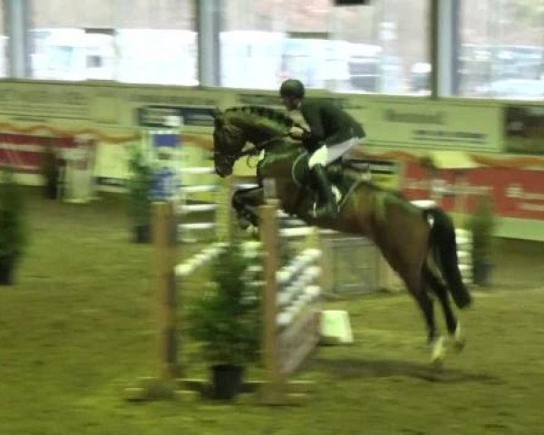 Münster-Albachten 2013
Donnerstag, den 31.01.2013
10. Springpferdeprüfung Kl.L
