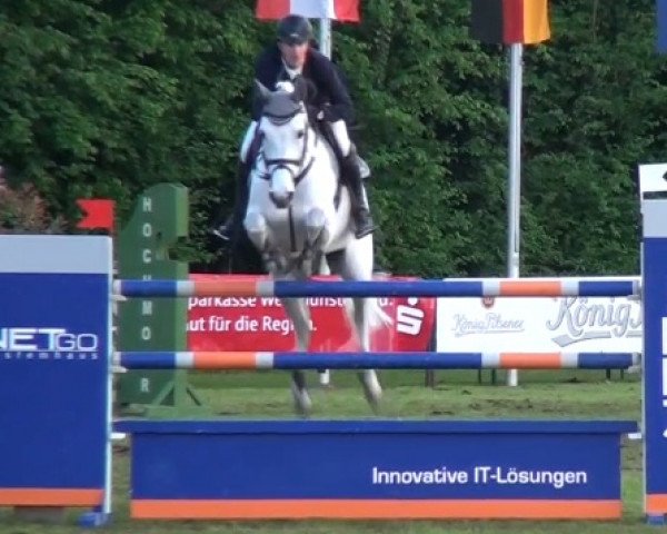 broodmare Centa 12 (Westphalian, 2002, from Cento)