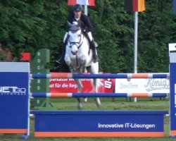 broodmare Centa 12 (Westphalian, 2002, from Cento)
