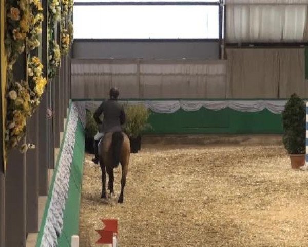 Video of cuidam