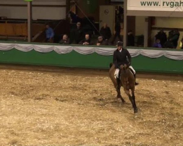 Video of cuidam
