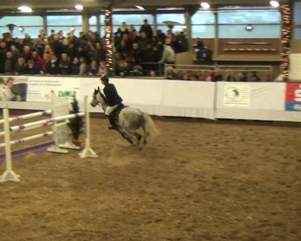 20. Winter Hallen Reit- und Springturnier auf der Reitsportanlage des RFV Alt-Marl 30.12.2012
04 Springprüfung Kl S*

