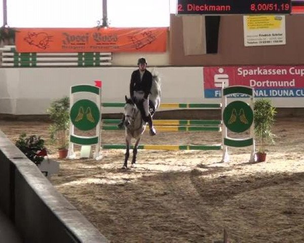 20. Winter Hallen Reit- und Springturnier auf der Reitsportanlage des RFV Alt-Marl 30.12.2012
03_2 Springprüfung K M**

