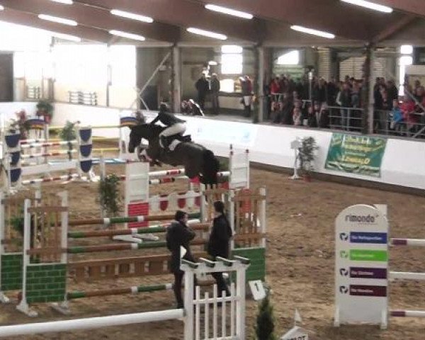 Video of mustax-questeur