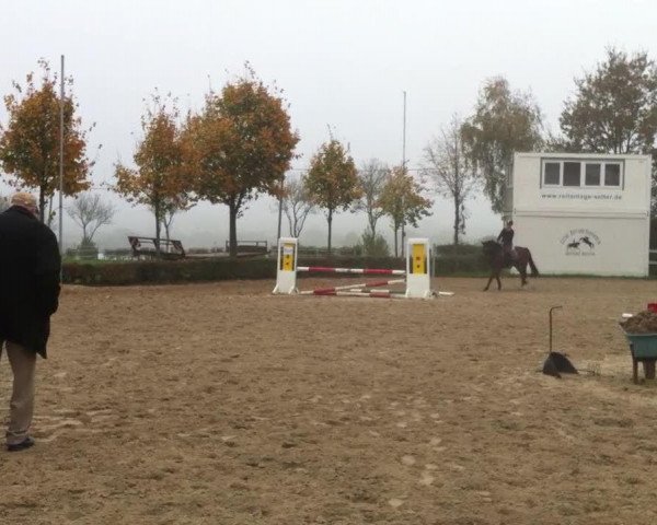 Video of Quadriga 22