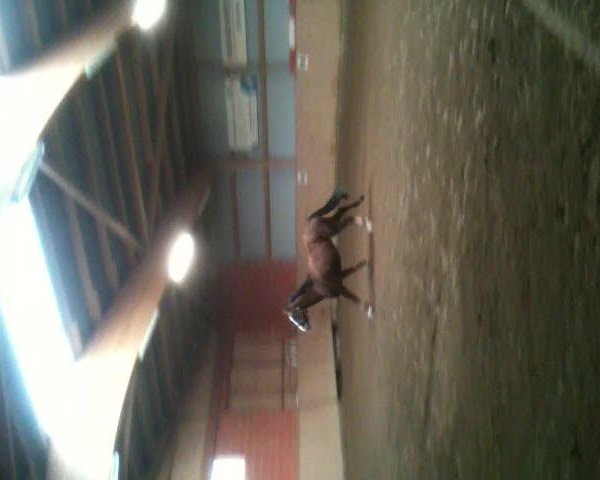 Video of Lasio