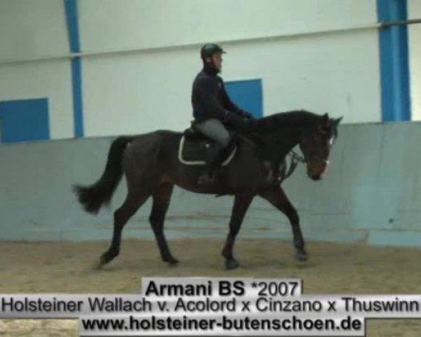 Video of Armani Bs