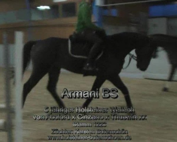 Video of Armani Bs