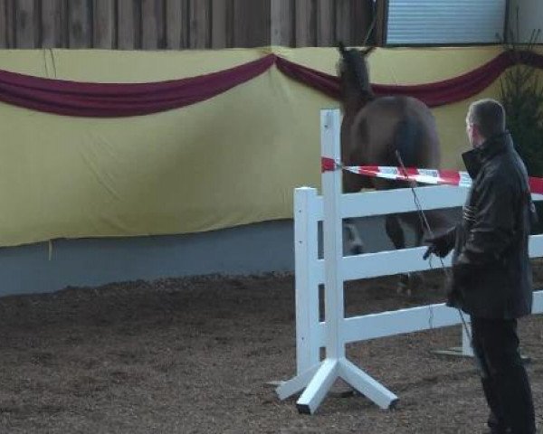 Süddeutsches Freispringchampionat 2012
01.12.-02.12.2012
10. Süddeutsches Freispringchampionat