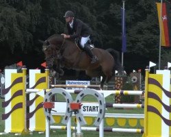jumper Can Do Light (Westphalian, 2009, from Can Do L)