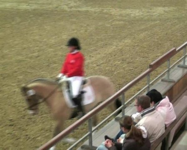 Hauptkörung NRW 2012 für Kleinpferdehengste
01.12.2012 - 02.12.2012 
Auktionsponys Handorf Pony-Spezial
