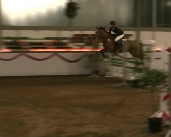 Hallen-Reit- und Springturnier des RV Suedlohn-Oeding für Ponys und Großpferde 2012