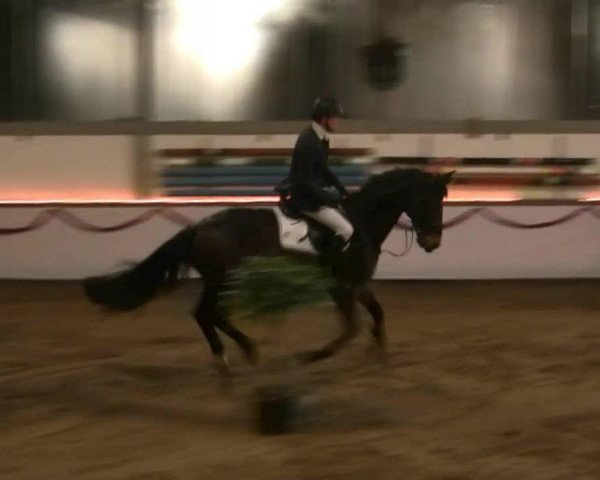 Hallen-Reit- und Springturnier des RV Suedlohn-Oeding für Ponys und Großpferde 2012