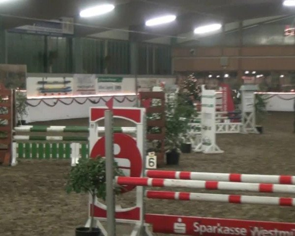 Hallen-Reit- und Springturnier des RV Suedlohn-Oeding für Ponys und Großpferde 2012